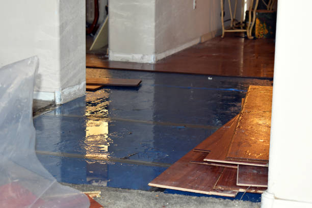 Professional Basement Flood Cleanup technician working in Neely, MS