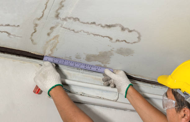 Reliable Basement Flood Cleanup contractor in Neely, MS by Hirex Water Damage